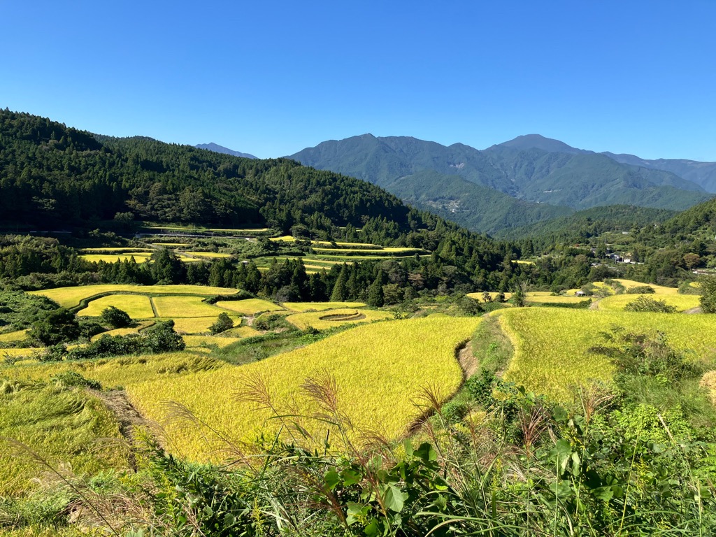 2026102南部地域の棚田
