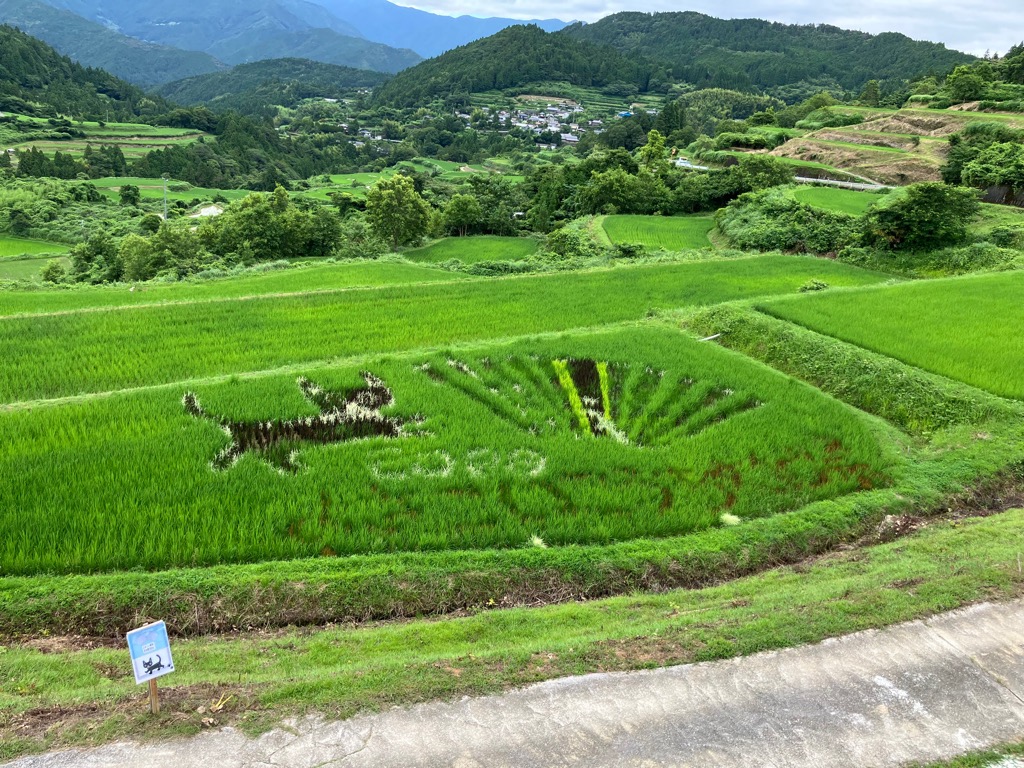 2026710棚田アート3