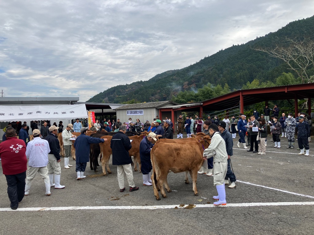 20251111嶺北畜産能力共進会1
