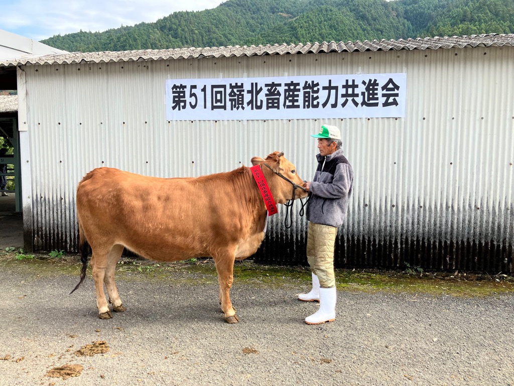 20251111嶺北畜産能力共進会3