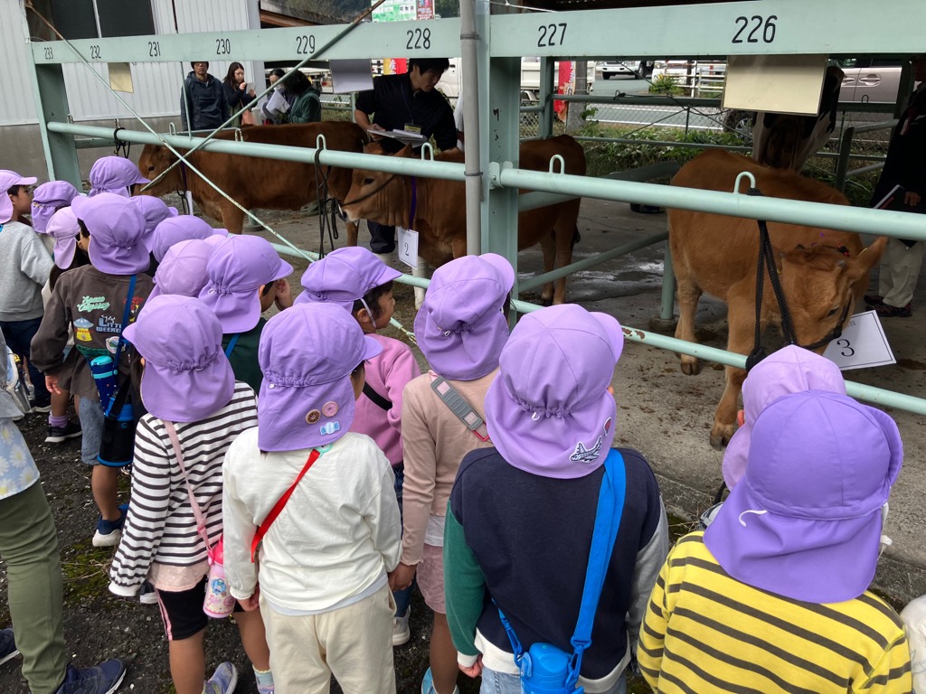 20251111嶺北畜産能力共進会4