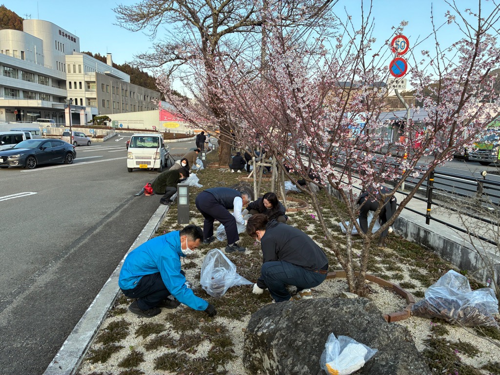 2026316芝桜手入れ