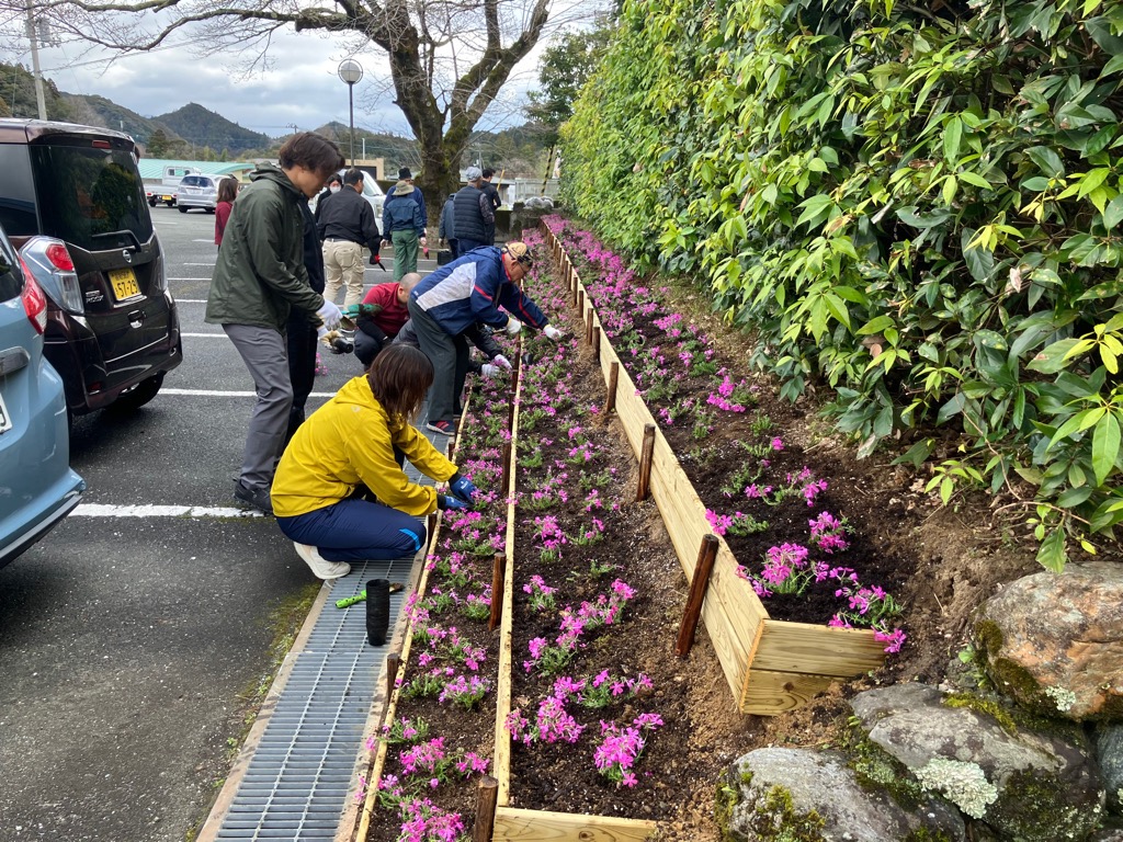 2026319芝桜の植栽3