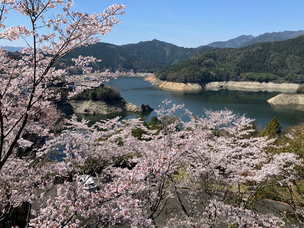 202643早明浦ダム左岸展望台2