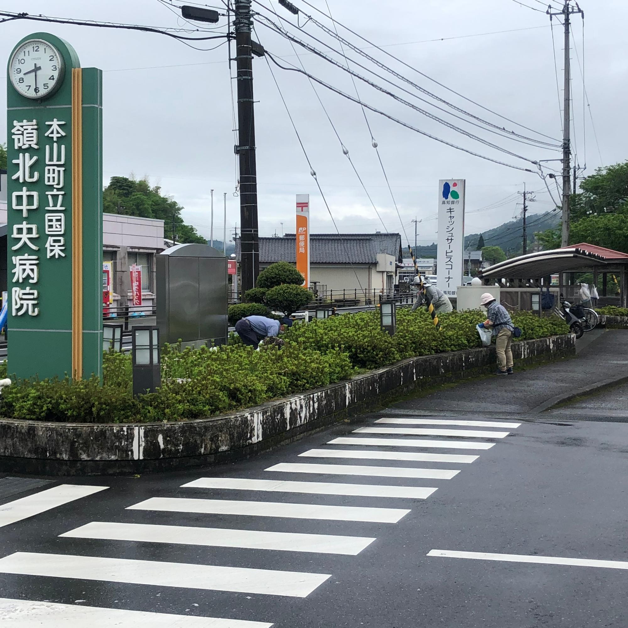 花壇の手入れの様子2