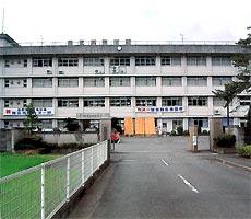 嶺北中学校・嶺北高等学校の外観の写真