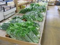 採れたて新鮮な野菜が商品として並べられている写真