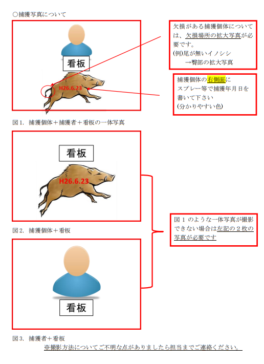 捕獲写真