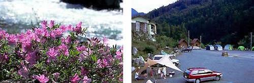 汗見川のほとりに咲く岸ツツジの写真とキャンプ場にテントを張っている写真
