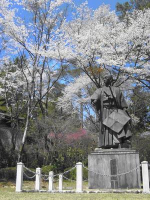 野中兼山の像の奥で満開の桜の写真